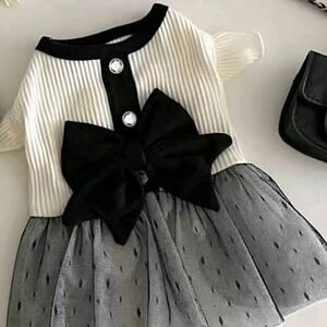 New Paris nights fancy dog party dress